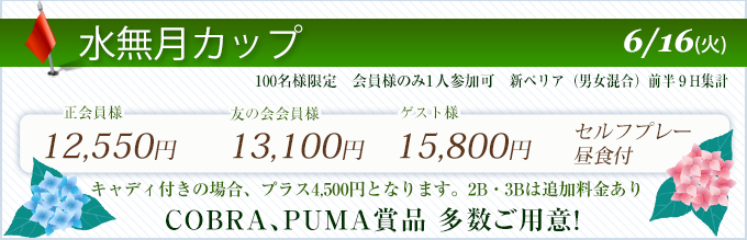 水無月カップ